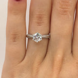 18K White Gold Plated Moissanite Ring – Lab-Grown Diamond, Elegant Kingdom Style