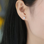 Moissanite Stud Earrings – Sunny Snow Design, Radiant Stones, Polished Metal Frame
