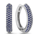 Sterling Silver Earrings | Sapphire CZ Modern